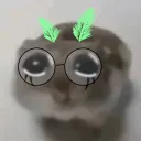 👅𝙱𝚕𝚎𝚎𝚙’𝚜 𝚂𝚑𝚎𝚎𝚙🐑