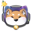 Atelier Space Shiba