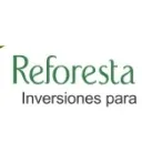 Reforesta