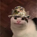 Belu Tales' Server