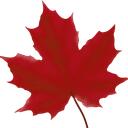 PlaceCanada Discord Server Icon
