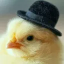 Anak Ayam Assemble