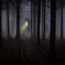Lost to the Woods. . .