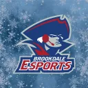Brookdale Community College Esports