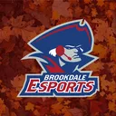 Brookdale Community College Esports