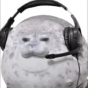 seal team gaming