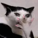 🔥⃞⃟⃤   ᴄᴏᴏʟᴇꜱᴛ ᴍᴛꜰꜱ ᴇᴠᴇʀ 🔥⃞⃟⃤