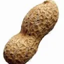 Peanut Cord