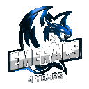 EMERALS RP FAZIONI ILLEGALI