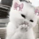 Ი︵𐑼  ᛝ   ♡