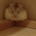 Discovery icon for ʟᴛᴇᴀᴍ Discord server