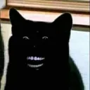 sua ba mau