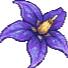 Nightshade SMP Discord Server Icon