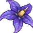 Nightshade SMP