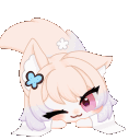 kon kon