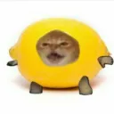 my sussy little imposters