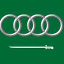 Saudis in Audis Discord Server Icon