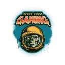 Space Hobo Gaming