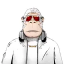KongVerse