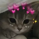 Hugz Community