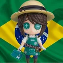 IDV Brasil