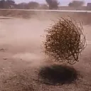 𝘋𝘦 𝘮𝘶𝘦𝘳𝘵𝘰𝘴  Discord Server Icon