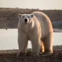 Climate Alliance 2022