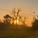 Piccolo Paradise Server Icon