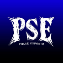 Pulse Esports icon