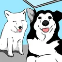 狐朋狗友交友圈