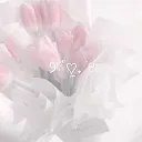 ୨⎯ "Cherry's Cult" ⎯୧ (REVAMPING)