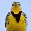 ThatKid4747 and friends Server's icon