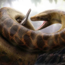 Snake&amp;rsquo;s Den Server Icon