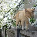 𝓯𝓻𝓮𝓪𝓴𝔂 yummy (yummers) Discord Server Icon