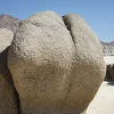 Creampies R'us's icon