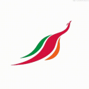 SriLankan Airlines Virtual icon