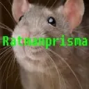 Ratman’s Sewers