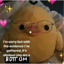blossoms home