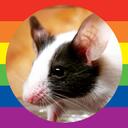 Mouse Fanciers Discord Server Icon
