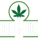 Speed Greens Server Icon