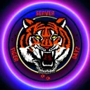 TIGER Dayz — мониторинг Discord сервера, статистика и рейтинг