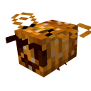 𝙆𝙞𝙩𝙩𝙮 𝙎𝙝𝙞𝙯𝙯 𝘽𝙪𝙞𝙡𝙙'𝙨 ⛏