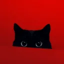 Kimchi･김치 | Active Chat ✦ Friends ✦ Art ✦ Social ✦ Fun ✦ Chill ✦ Music ✦ Hangout's icon