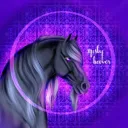 Misty Hooves DISBANDED