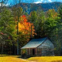 The Next Sanctuary