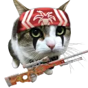 Powaz's Noti Gang