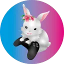 Bunny Bunch