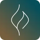 Farama Foundation