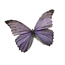 sofia's gif pack server.