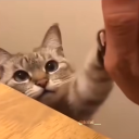 Lame Souls Discord server icon